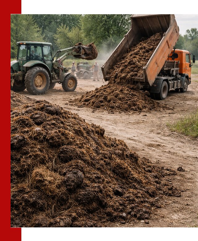 Доставка навоза самосвалами в Заинске для сельхозпотребностей