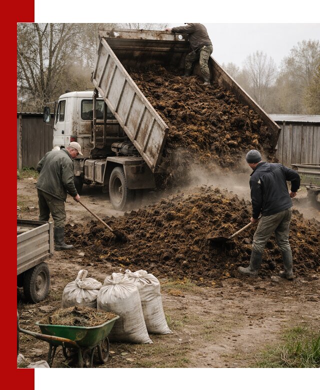 Доставка коровьего навоза самосвалом в Заинске